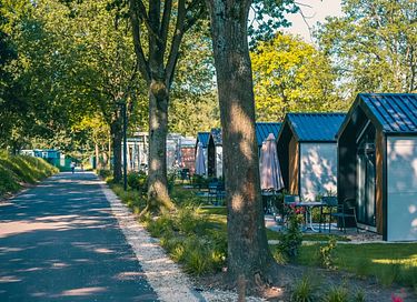 Gemütliche Ferienwohnung (4p) in Brabant - 9
