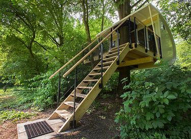 Boomhut Suite - 3