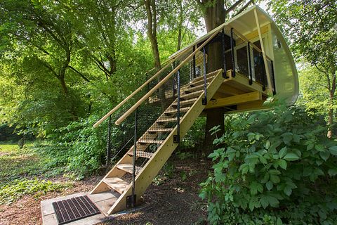 Boomhut Suite - 3