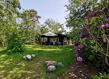 Cabane robuste en rondins (5p) à Holterberg - 2