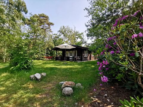 Cabane robuste en rondins (5p) à Holterberg - 2