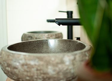 Stijlvolle loft, Achterhoekse hoeve hottub - 11
