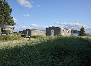 Beach house (4p) at the Veluwe lake - 23