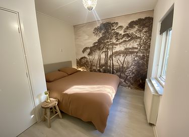 Waldhaus in Drenthe mit Kamin und großem Garten - 10