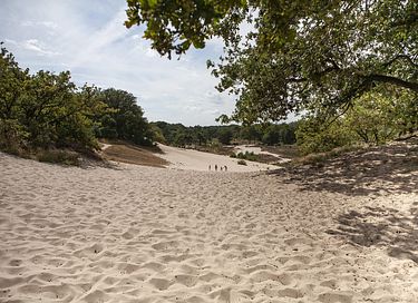 Romantische wellness lodge in Brabant - 37