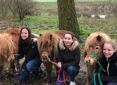 Sfeervol logeren in een historische boerderij - 26