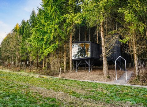Luxury treehouse with sauna in the Ardennes - 4