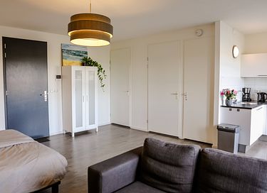 Séjour confortable avec chien en Zélande - 10