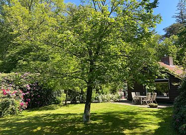Luxe vakantiehuis bij het bos voor 4 pers.  - 33