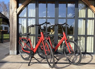 Vrijstaand wellnesshuisje met privé zwembad - 36