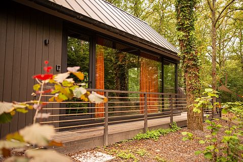 Luxury cabin with private sauna in the Ardennes - 4