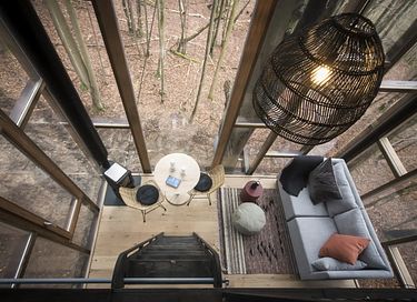 Overnight among the trees in glass cabin - 7