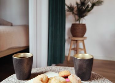 Logement de vacances à Drenthe avec jacuzzi privé - 12