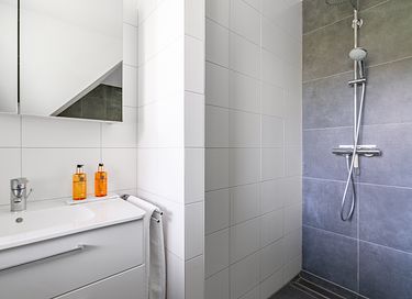 Spacious 10-person vacation villa on Texel - 24