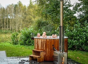 Wellness holiday home in Overijssel - 7
