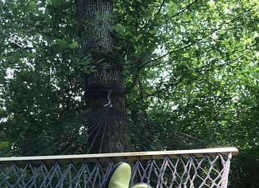 Lodge avec vue imprenable dans les Ardennes - 27