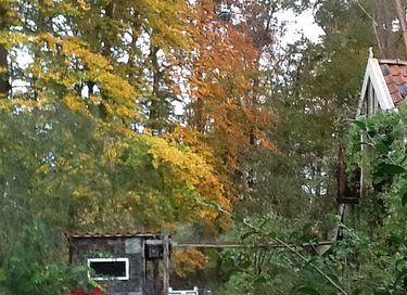 Prachtig natuurhuisje als in een sprookje - 23