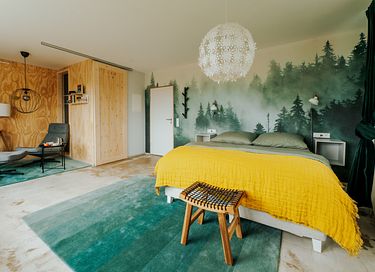 Kamer met balkon in het Zwarte Woud - 6