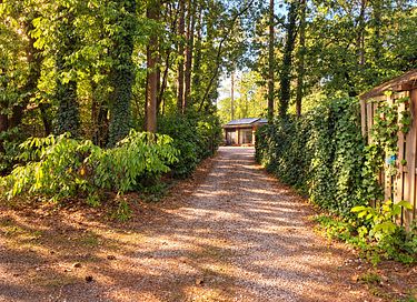 Hidden forest cabin with private wellness - 3