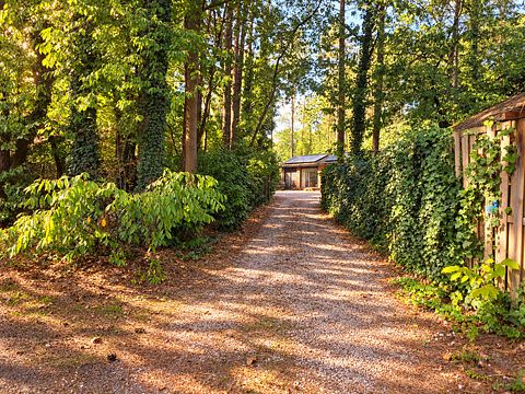 Hidden forest cabin with private wellness - 3