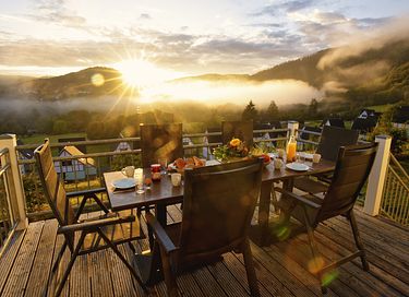 Luxury vacation home with sauna in Eifel - 44