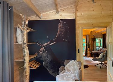 Tough luxury Scandinavian forest lodge on Veluwe - 19