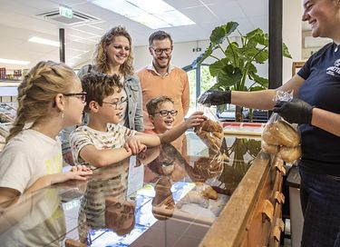 Vakantiehuis boven het water op een leuk park - 29