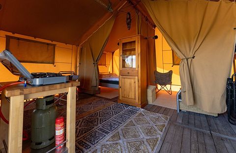 Tente safari dans les dunes de Hollande du Nord - 5
