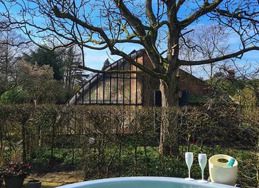 Luxury B&B in 100 year old grapevine - 35