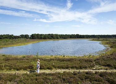 4-persoons vakantiehuis met sauna en hottub - 19