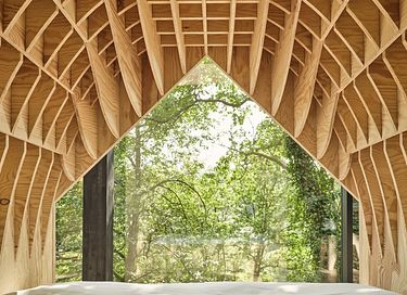 Unique cabane dans les arbes avec sauna privé dans les Ardennes - 8