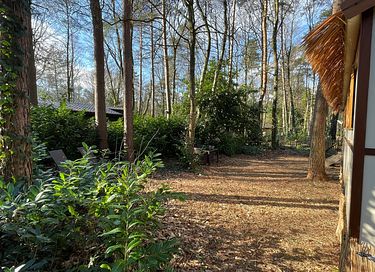 Zirkuswagen bei Maastricht, Hund erlaubt - 27