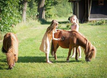 Luxury glamping tent in Twente - 17