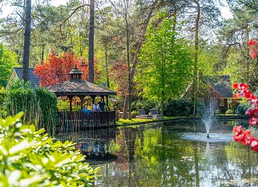Luxe vakantievilla op de Veluwe - 10