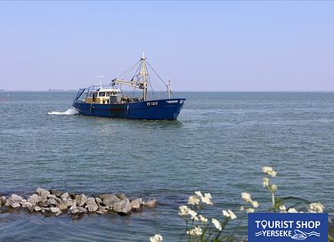 Logement de vacances à proximité de la plage et du port - 35