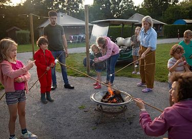 Glamping auf einem Schafbauernhof in Zeeland - 7