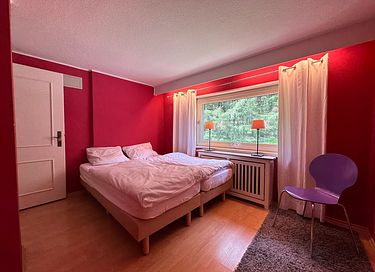 Villa privée au milieu de la forêt en Allemagne - 16