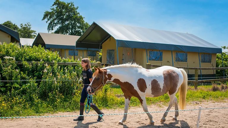 Glamping on horse farm near the coast - 1
