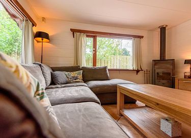 Cabane en rondins robuste avec sauna dans la forêt - 5
