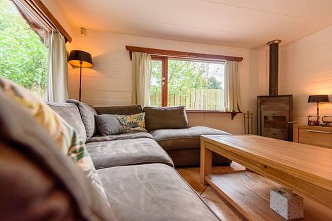 Cabane en rondins robuste avec sauna dans la forêt - 5