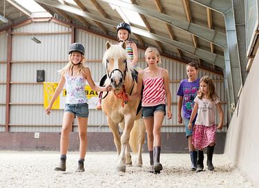  Glamping on horse farm near the coast - 14