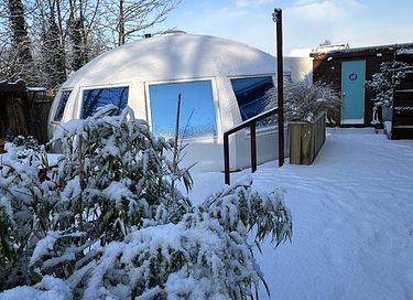 Iglo met privé sauna, buitendouche en tuin - 39