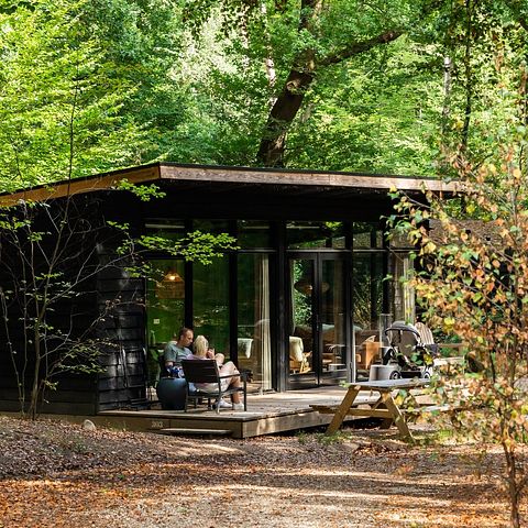 Beautiful forest cabin in small vacation park - 5