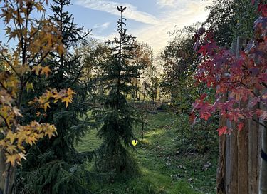 Nature cottage in Westerwolde (2p) - 17