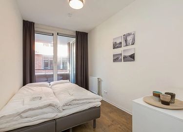 Pet-friendly accommodations in Zoutelande - 16