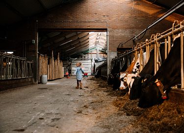 Landelijk gelegen groepsaccommodatie  - 36