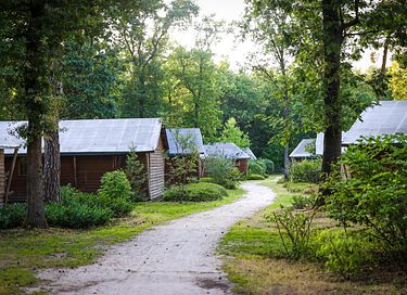 Knusse cottage voor 5 personen in Brabant - 8