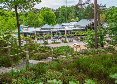 Vrijstaand chalet in Limburg voor 4 personen - 14