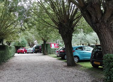 Circus wagon in green and quiet surroundings - 13
