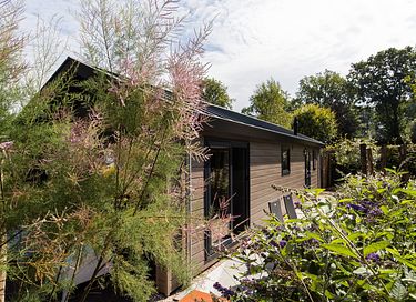 Petite maison proche de la nature à Veluwe - 43